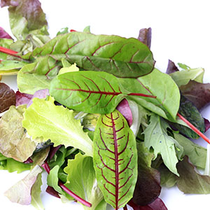 Beet with Pasta Salad | Brannick Clinic of Natural Medicine