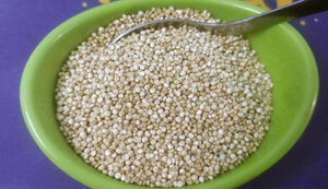 Quinoa - a Great Alternative Protein | Brannick Clinic of Natural Medicine
